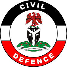 LEADERSHIP Government Agency of the Year: NSCDC